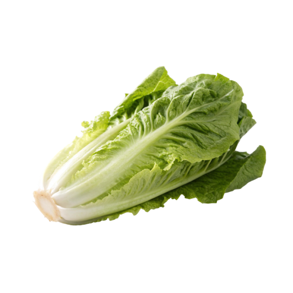 חסות - מחיר ליחידה