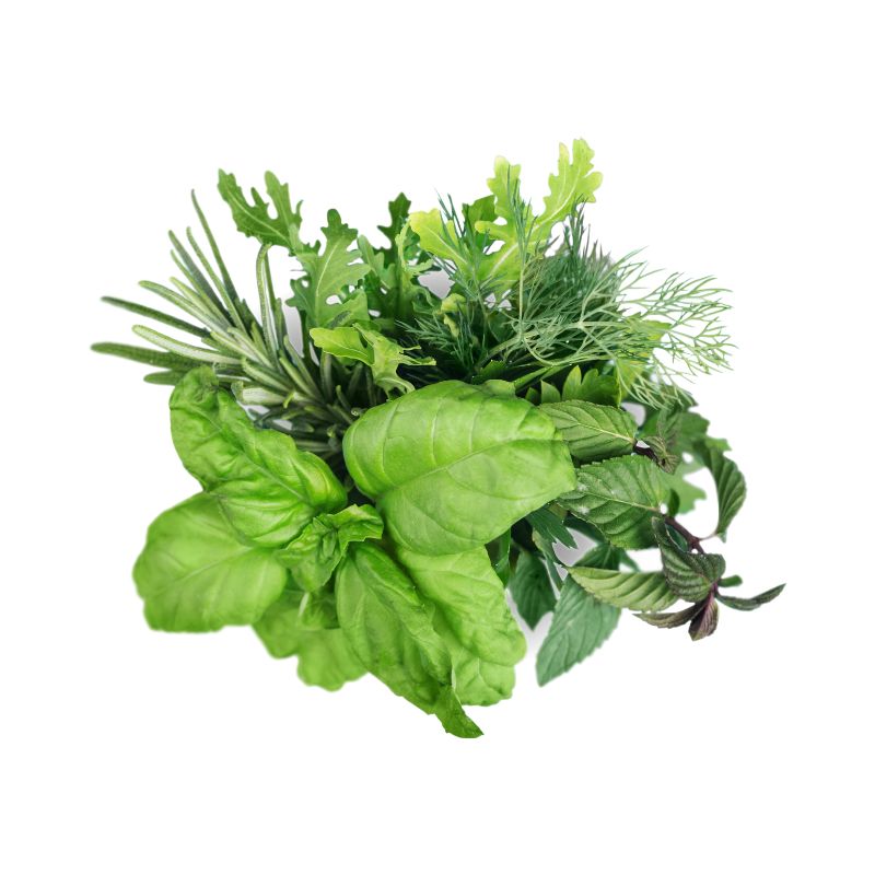 עשבי תיבול - מחיר ליחידה