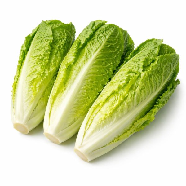 חסה לבבות קיסר ארוז