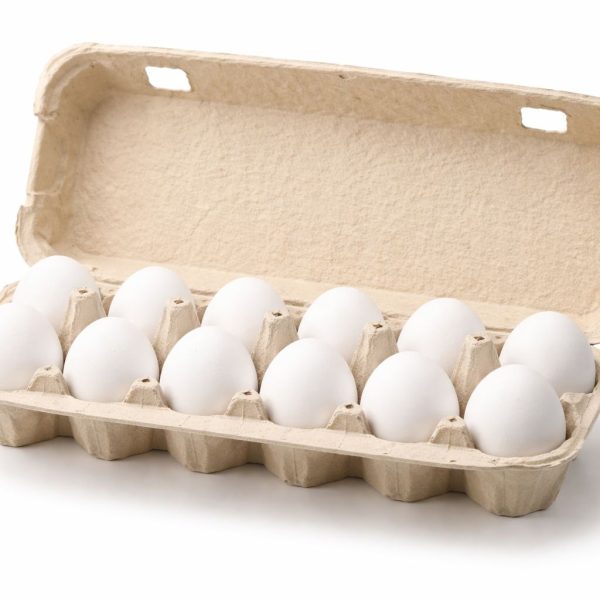 ביצי חופש 12 יחידות L משק הולנדר