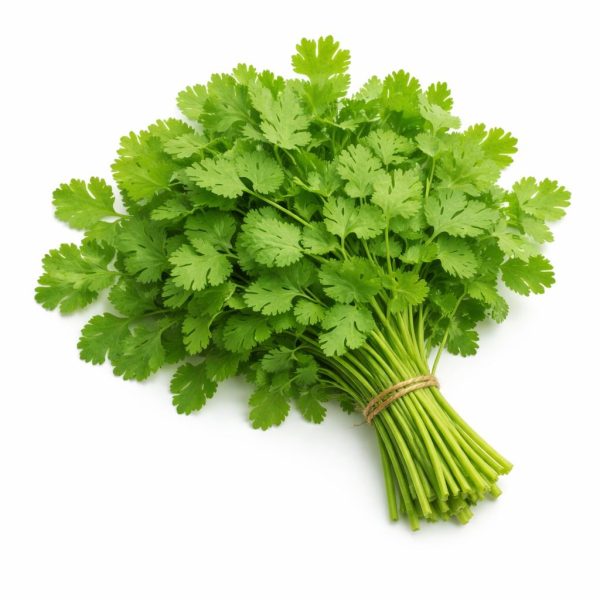 כוסברה מארז