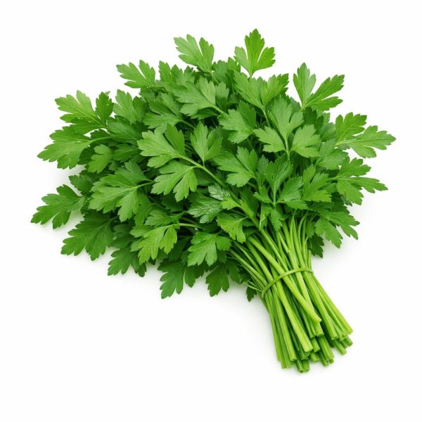 פטרוזיליה ארוז