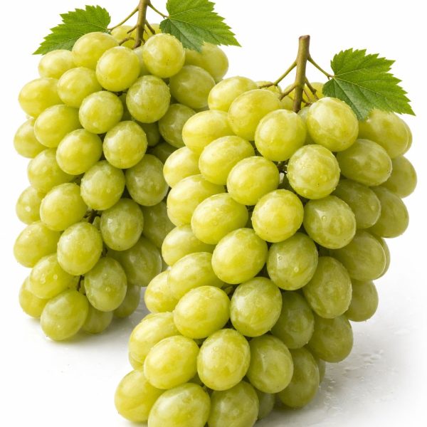 ענבים ירוקים