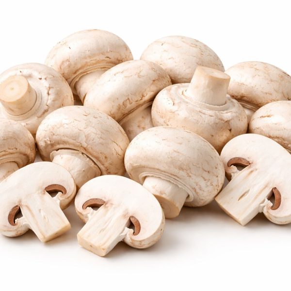 פטריות שמפניון