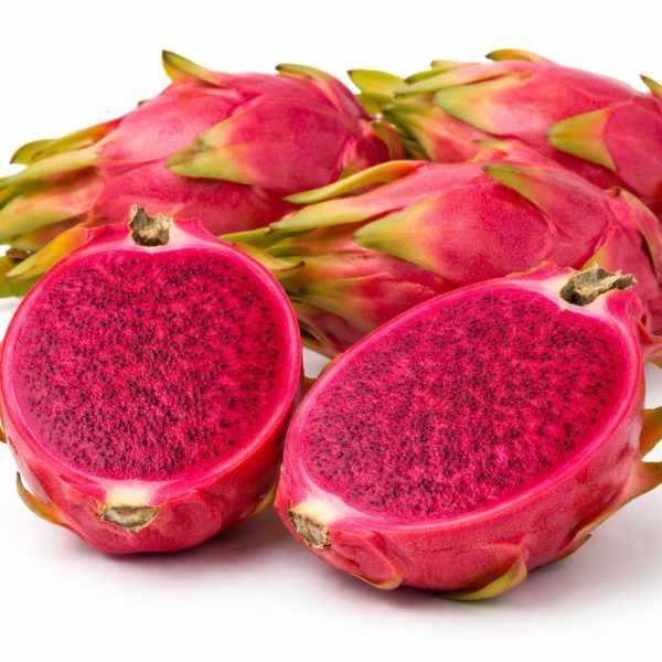 פיטאיה מלך המדבר